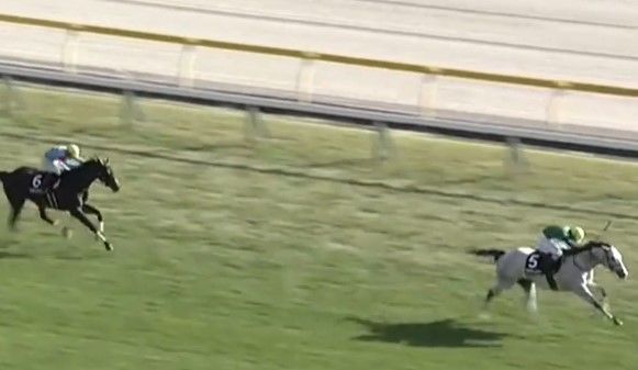 木村牧場育成馬プラチナトレジャー、障害オープン特別勝ち！ | 木村